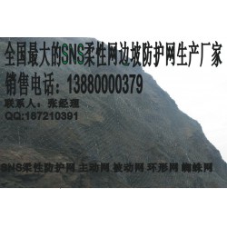 專業(yè)的被動網(wǎng)rx050,rxi075供應(yīng)商推*——大理被動防護網(wǎng)