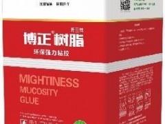 博正樹(shù)脂286籃球膠